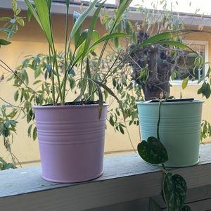 Purple and green ikea socker planters